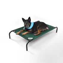 Coolaroo 반려동물 쿨링 메시 시원한 여름 침대 브런즈윅 그린 라지, Brunswick Green_Medium