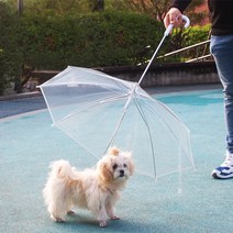 도그팜 중소형견용 투명 산책우산