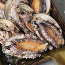 완도활전복 바다마을 완도 특특대활전복 18미, 단일옵션