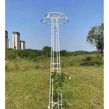 포도나무 지지대 트렐리스 넝굴식물 덩굴 시렁 스탠드, 블랙 높이 205cm