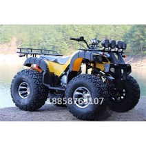 사륜 바이크 사발이 오프로드 전기 미니 레저 오토바이, D