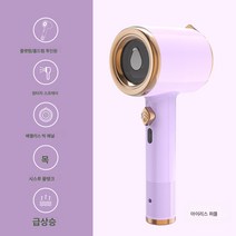 핸드건조기 가정용 휴대용 전기다리미 건습 양용 자가용 물탱크 핸드다림기, 어린 시절 태닝머신 연보라