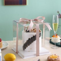 2단 케이크 투명 선물 포장 박스 상자 케이스 5개 1세트 미니 1호 2호 3호, B + 8인치 2단 26x26x25