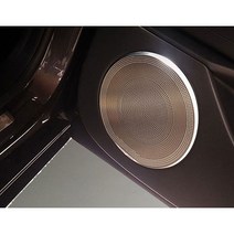 카템 제네시스 더올뉴 G80 스피커 그릴커버 세트, 1세트