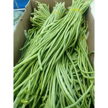 줄콩 500G 롱빈 껍질콩 아스파라거스빈 스트링빈스