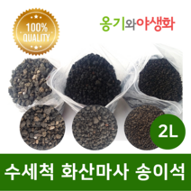 옹기와야생화 수세척 화산마사 송이석 왕대립 검은톤 2L, 1개