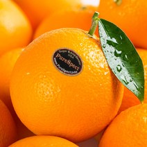 고당도 퓨어스펙 블랙라벨 네이블 오렌지, 15개, 3.5 kg내외 대과