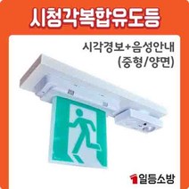 시청각 복합유도등 음성경보기 (시각경보+음성안내) / 중형-양면, 양면