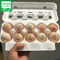 백봉오골계 유정란 계란 자연방사 난각번호 1번, 유정란 80구