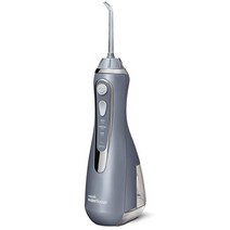 Waterpik 무선 워터 플로서 화이트 치아 잇몸 교정기용 휴대용 백 & 팁 4개 포함 충전식 방수 (WP-560), Gray, Gray