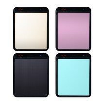 2021년 신상품 선일금고 루비스 LUVIS-100 금고지문인식내장 루셀금고-민트, 단품