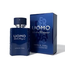 페라가모 우오모 어반필 EDT 100ml, 없음