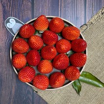 논산 설향 생 딸기 무농약 GAP 1kg 대왕 왕, 설향1kg 35개입, 1상자