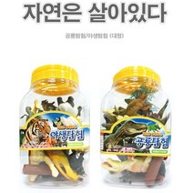 빅사이즈 어린이집 미니어쳐 야생 동물 공룡 모형 세트 모래 놀이 교육용 피규어 교구 완구 교재용 유치원 치료, 옵션선택, 야생탐험