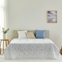[모던하우스]블루벨 순면 아사 워싱 소프트 차렵이불 S CV0222049