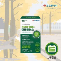 뇌 기능 생각 활성화 에 좋은 기억력 인지력 저하 감퇴 혈행 개선 플라보놀배당체 은행잎 추출물 징코 ginko 영양제, 1BOX(1개월분)