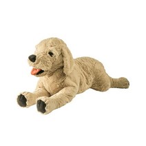 이케아 GOSIG GOLDEN 강아지 골든리트리버 봉제인형 대, 4세트