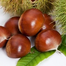 충주밤(대) 23년 햇밤 개시 (이장님네 농산물), 1개, 1.5kg (1개)