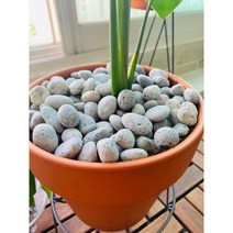 에그스톤 2kg 화분 장식 데코 자갈, 2kg (1.5~2cm)