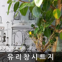 유리 창 시트지 샤워부스 필름 1m x 1m (T675)
