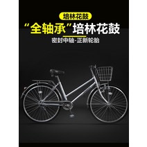 클래식 자전거 성인 어른 학생 가벼움 출근용 26인치, 단일 속도, 남성치타-메탈릭실버(전체차량전체베어링)