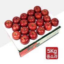 [명품농원] 당도선별 문경 사과 5kg 꿀 부사 선물세트, 1박스, 05. 명품농원 중소과 5kg(20~21과)-선물용