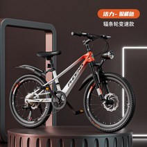 미니스프린터 봉황 마그네슘합금 자전거 8-10- 마운틴바이크 타입학생 수레쉬 기어변속 자동차, T01-기타, C10-20inch활력 은귤색 바퀴살