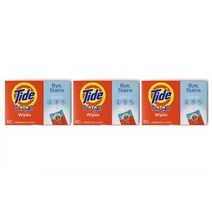 Tide 타이드 투 고 얼룩 제거제 티슈 10개입 3팩 To Go Instant Stain Wipes