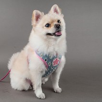 강아지 산책패션 데님조끼 하네즈 훈련용 외출 허스키 보더콜리 야외 반려, 사이즈_L:, 상세페이지 참조