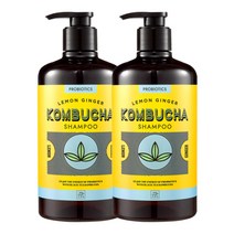 미쟝센 콤부차 레몬진저 샴푸 820ml x2, 단품