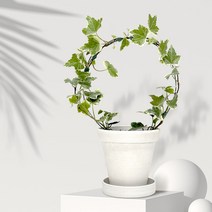 흰아이비 리스 만들기 DIY 세트, 단품