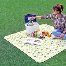 워터파크 여의도피크닉 한강돗자리 데이트 1061, 플라워