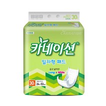 카네이션 일자형패드(2회)30개입 성인기저귀, 2팩, 30개입