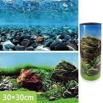 백스크린 양면 30X30cm 수족관배경 어항배경 C525530