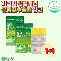 은행잎추출물 정 GINKGO 비타민B컴플렉스 아연 망간 기억력개선 혈행개선 탄수화물 에너지대사 체내 에너지생성 플라보놀배당체 36mg 식약처기능 최대함량 11종 복합기능성
