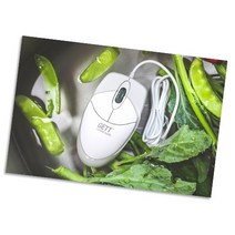 항균마우스 세균&바이러스 증식 방지 MPL-U10010 GETT 독일