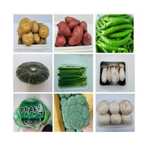 [특급] 채소야채장보기 오이 가지 고추 비트 상추 깻잎 모듬쌈 외 37종 소량장보기 이만원이상, 무순 1팩 130g