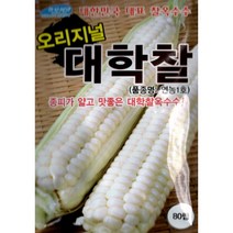 (씨앗) 대학찰옥수수 2종 (백색-얼룩) 중 택 1종 - 찰옥수수 씨앗 종자 - 소포장 (80립) 대포장 (2천립), 얼룩대학찰옥수수(80립), 1개