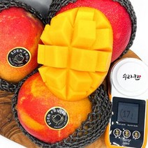 프리미엄 고당도 페루 애플망고 8~9과(4kg내외), 상세페이지 참조