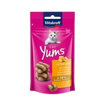 고양이 간식 져키 생후6개월이상 캣얌 치즈 40g