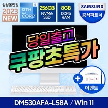 삼성전자 삼성 DM530AFA-L58A 일체형PC 올인원PC 사무용 컴퓨터 데스크탑 (13세대 i5/RAM8GB/NVMe 256GB/Win11), RAM8GB