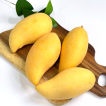 [고당도 항공직송] 태국 골드망고 설탕망고 mango, 로얄과 2.5kg, 1개