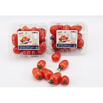 맛있게익다 [신선] 스테비아 방울토마토 500g 1kg 2kg, 스테비아 방울토마토 500g (500g * 1팩)
