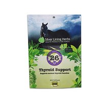 실버 라이닝 허브 갑상선 지원 – 정상적인 말 갑상선 기능 지원