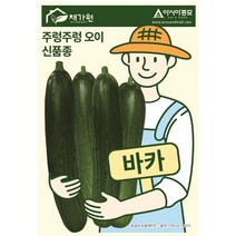 오이씨앗종자 바카오이 (10립) *주렁주렁 오이와 같은 암꽃발생이 높은 다수확 미니오이*, 1개