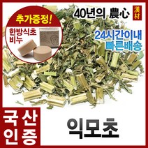 자애인 국산 익모초 600g 육모초 충북제천, 단품
