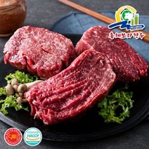 총체보리한우 [총체보리한우]1+등급이상 불고기 500g, 기타, 기타