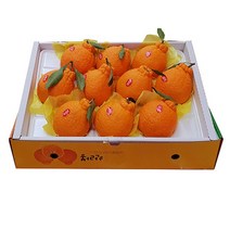 한라봉10과 명절 부모님선물 과일선물세트, 한라봉