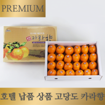 [16brix 이상] 고당도 프리미엄 제주 효돈 카라향, 카라향 5kg, 1개