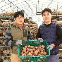 무농약표고버섯 구매평
